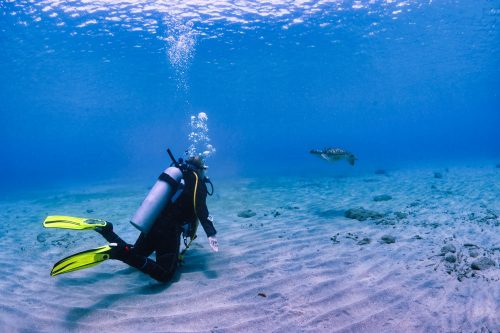 Read more about the article Does Scuba Diving Require Swimming?