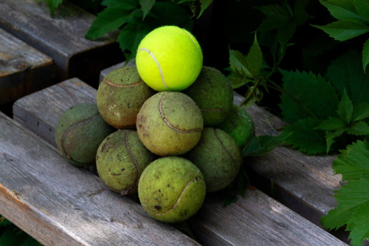 Old dirty tennis balls are laid out on bench in the shape of pyramid.
